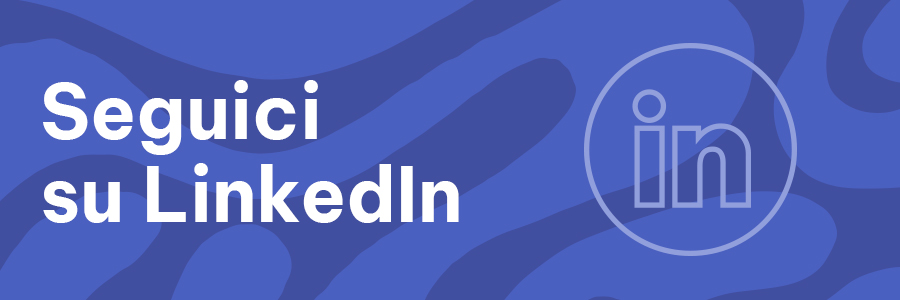 Seguici su LinkedIn